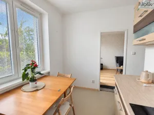Pronájem bytu 2+1, Teplice, Josefa Suka, 49 m2