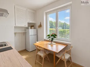 Pronájem bytu 2+1, Teplice, Josefa Suka, 49 m2