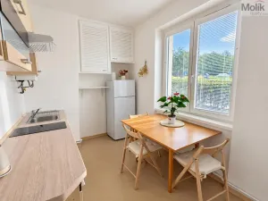 Pronájem bytu 2+1, Teplice, Josefa Suka, 49 m2