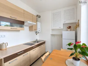 Pronájem bytu 2+1, Teplice, Josefa Suka, 49 m2