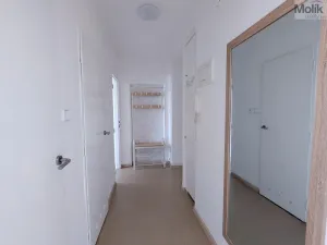 Pronájem bytu 2+1, Teplice, Josefa Suka, 49 m2