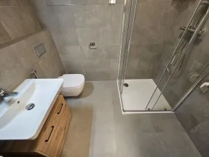 Pronájem bytu 1+kk, Praha, Hartigova, 53 m2