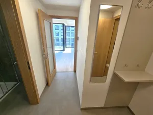 Pronájem bytu 1+kk, Praha, Hartigova, 53 m2