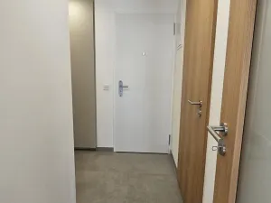 Pronájem bytu 1+kk, Praha, Hartigova, 53 m2
