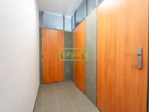 Prodej bytu 3+kk, Plzeň - Severní Předměstí, Kotíkovská, 109 m2