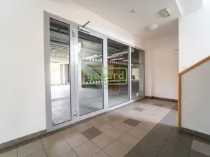 Prodej bytu 3+kk, Plzeň - Severní Předměstí, Kotíkovská, 109 m2