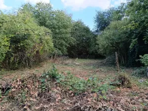 Prodej pozemku pro bydlení, Hulín - Chrášťany, 3043 m2
