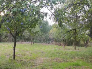 Prodej pozemku pro bydlení, Hulín - Chrášťany, 2087 m2