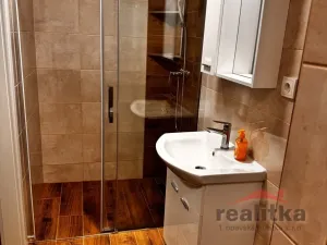 Pronájem bytu 1+1, Opava, Zeyerova, 35 m2