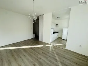 Pronájem bytu 1+1, Litvínov - Horní Litvínov, Ruská, 30 m2