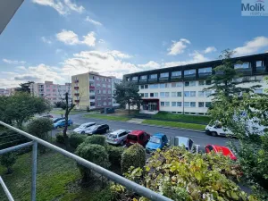 Pronájem bytu 1+1, Litvínov - Horní Litvínov, Ruská, 30 m2