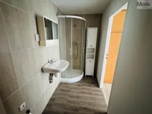 Pronájem bytu 1+1, Litvínov - Horní Litvínov, Ruská, 30 m2