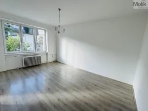 Pronájem bytu 1+1, Litvínov - Horní Litvínov, Ruská, 30 m2