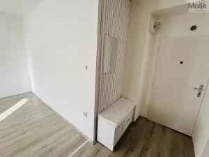 Pronájem bytu 1+1, Litvínov - Horní Litvínov, Ruská, 30 m2