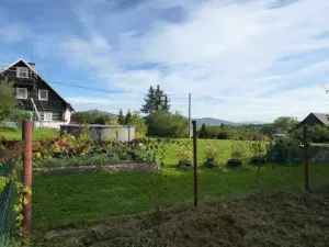 Prodej pozemku pro bydlení, Horní Police - Podlesí, 744 m2