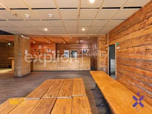 Pronájem komerční nemovitosti, Bojkovice, Mánesova, 150 m2