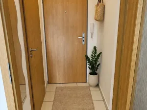 Prodej bytu 1+kk, Brno, Božetěchova, 23 m2
