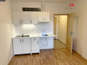 Pronájem bytu 1+kk, Týnec nad Sázavou, 24 m2
