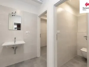 Prodej vícegeneračního domu, Znojmo, Růženy Svobodové, 290 m2