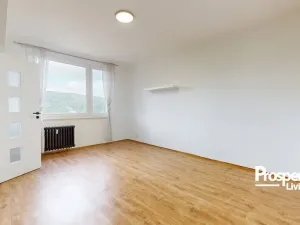Prodej bytu 1+1, Ústí nad Labem - Střekov, Truhlářova, 37 m2