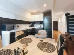 Pronájem bytu 2+kk, Brno, Fryčajova, 58 m2