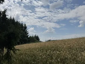 Prodej pole, Jedlí, 8401 m2
