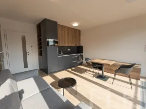 Pronájem bytu 1+kk, Praha - Holešovice, V háji, 34 m2