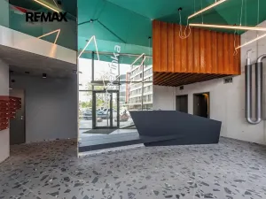 Prodej bytu 1+kk, Praha - Radlice, U Komína, 38 m2
