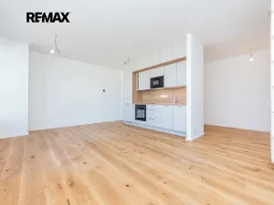 Pronájem bytu 1+kk, Praha - Radlice, U Komína, 37 m2