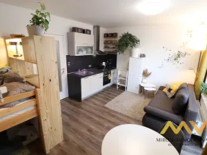 Pronájem bytu 1+kk, Hradec Králové - Pražské Předměstí, Václavkova, 32 m2