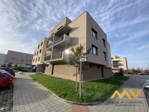 Pronájem bytu 1+kk, Hradec Králové - Pražské Předměstí, Václavkova, 32 m2