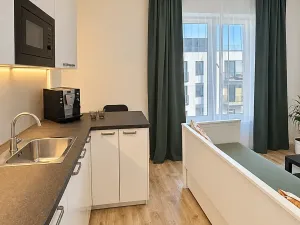 Prodej bytu 1+kk, Plzeň, Železná, 27 m2