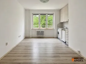 Pronájem bytu 1+kk, Havířov, Marušky Kudeříkové, 22 m2
