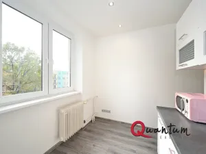 Pronájem bytu 2+1, Kladno, Brjanská, 49 m2