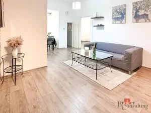 Pronájem bytu 2+1, Plzeň - Východní Předměstí, Guldenerova, 46 m2