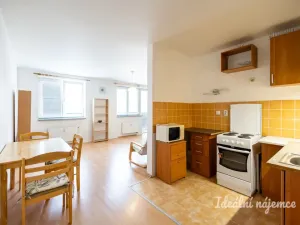 Pronájem bytu 1+kk, Šestajovice, Komenského, 47 m2