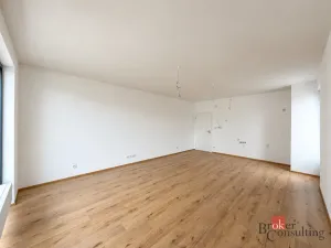 Prodej bytu 2+kk, Plzeň - Jižní Předměstí, Železná, 59 m2