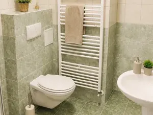 Prodej bytu 2+kk, Dobrá Voda u Českých Budějovic, Lázeňská, 67 m2