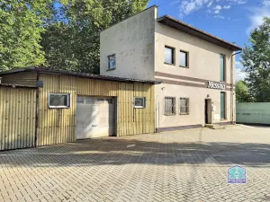 Prodej výrobních prostor, Stříbro - Těchlovice, 320 m2