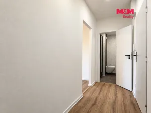 Prodej bytu 2+1, Ostrava - Moravská Ostrava, Mánesova, 43 m2