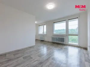 Prodej bytu 1+kk, Most, Brněnská, 34 m2
