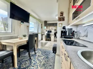 Prodej bytu 1+kk, Most, Brněnská, 34 m2