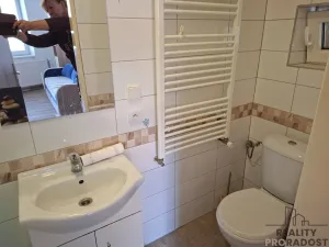 Pronájem bytu 1+kk, Nové Strašecí, Palackého, 25 m2