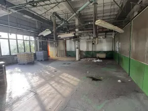 Pronájem výrobních prostor, Divišov, 400 m2