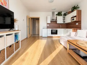 Prodej bytu 2+kk, České Budějovice - České Budějovice 3, Jírovcova, 54 m2