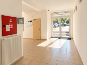 Prodej bytu 2+kk, České Budějovice - České Budějovice 3, Jírovcova, 54 m2