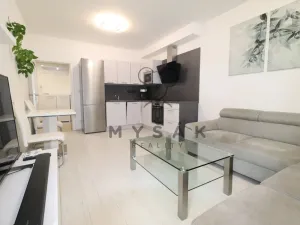 Pronájem bytu 2+kk, České Budějovice - České Budějovice 3, J. Š. Baara, 50 m2