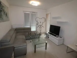 Pronájem bytu 2+kk, České Budějovice - České Budějovice 3, J. Š. Baara, 50 m2