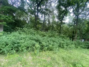 Prodej pozemku, Třebívlice - Skalice, 576 m2