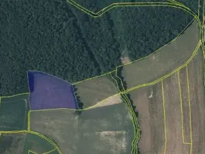 Prodej pole, Prackovice nad Labem, 44747 m2